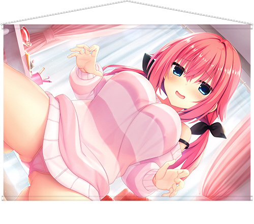 ソフマップ PCゲーム情報 tweet media