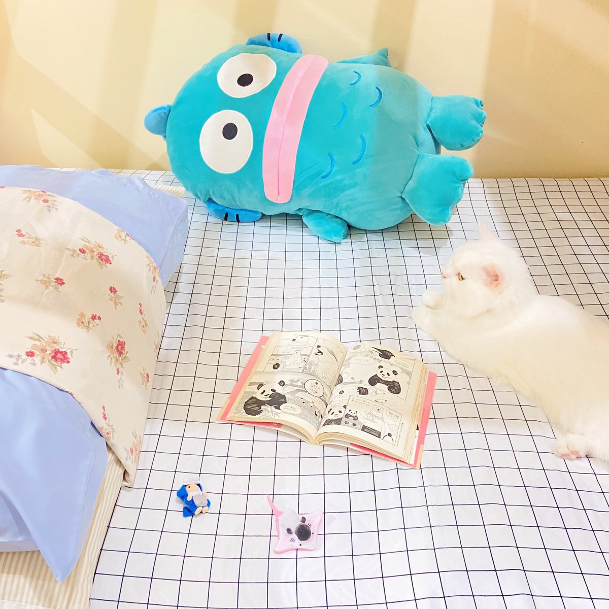 Post by 🍧 on X: #ハンギョドン