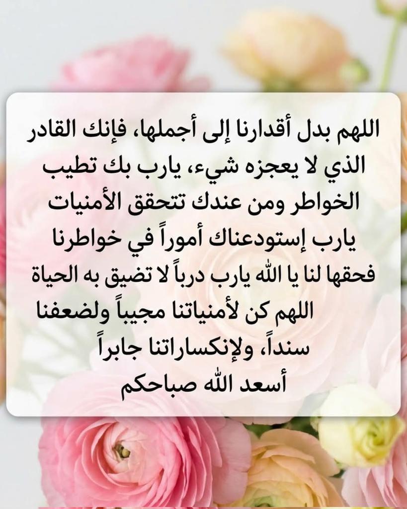 ملك الاحساس tweet media