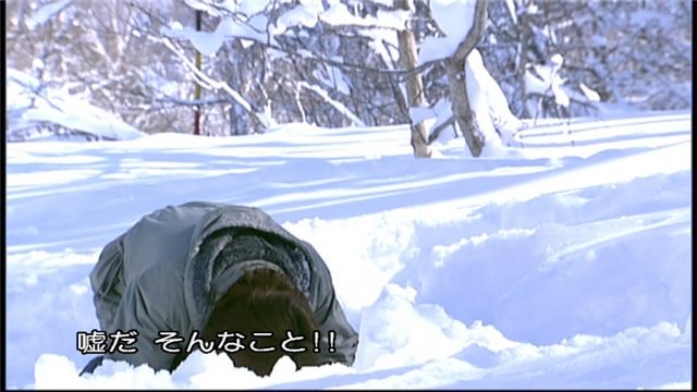 トリボシ tweet media