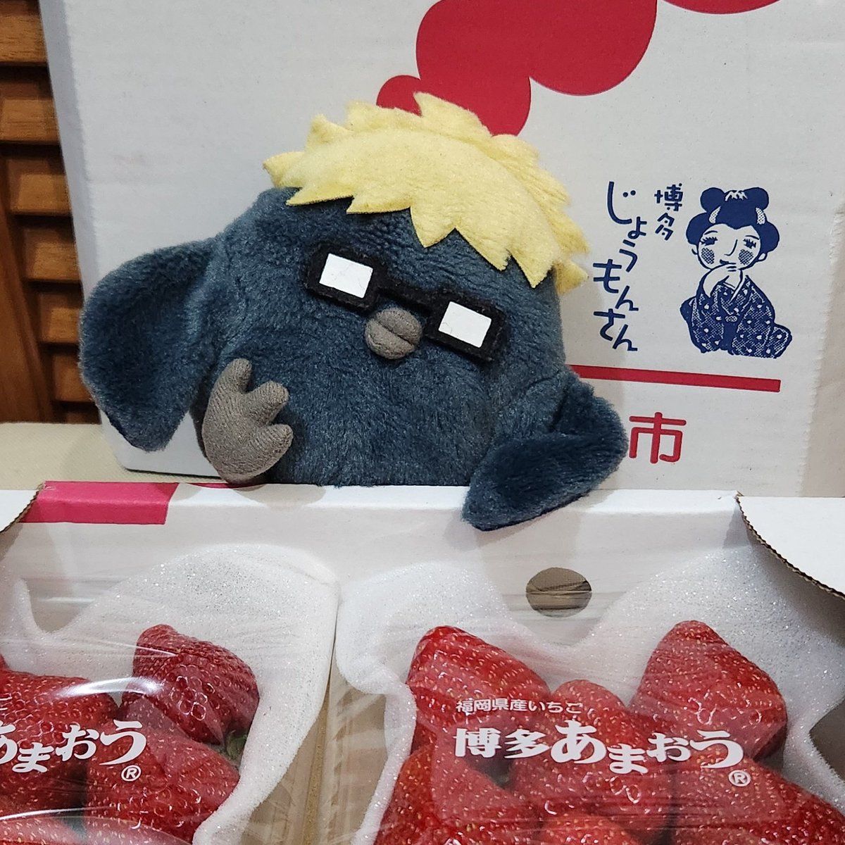 芝生。 tweet media