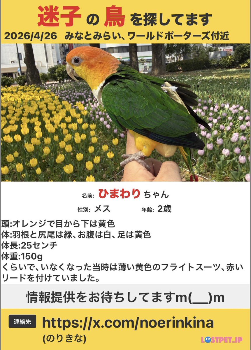 みち tweet media