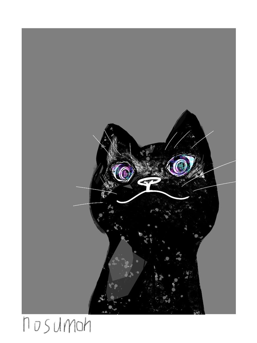 mon999abc's tweet image. 猫です20260503

#procreate
#procreatepocket