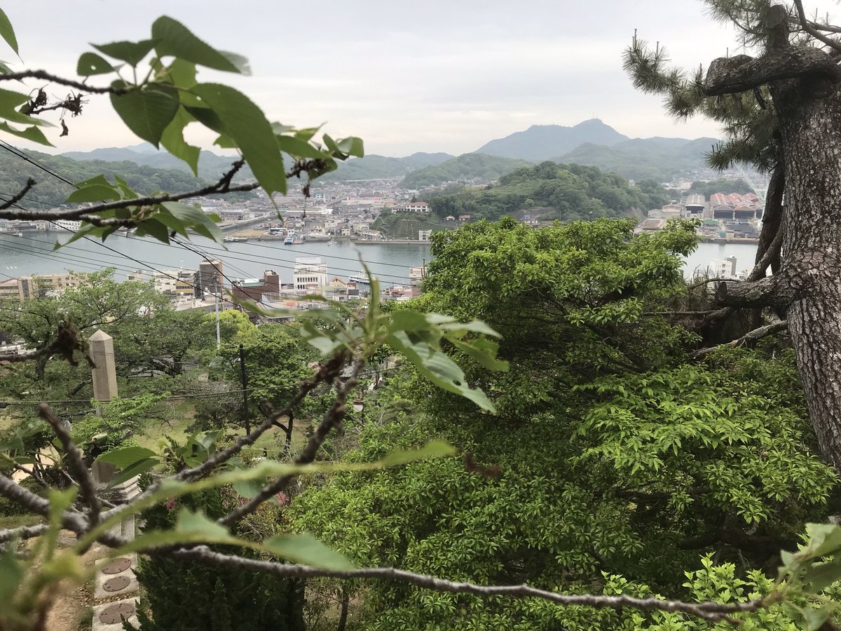 emomiru81's tweet photo. 尾道来たよ〜
稼ぎどきなのにアルジャーノンやってなかったじゃーのん https://t.co/QMvkwr9VHF