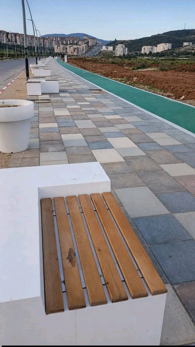 Algérie زهرة الامل tweet media