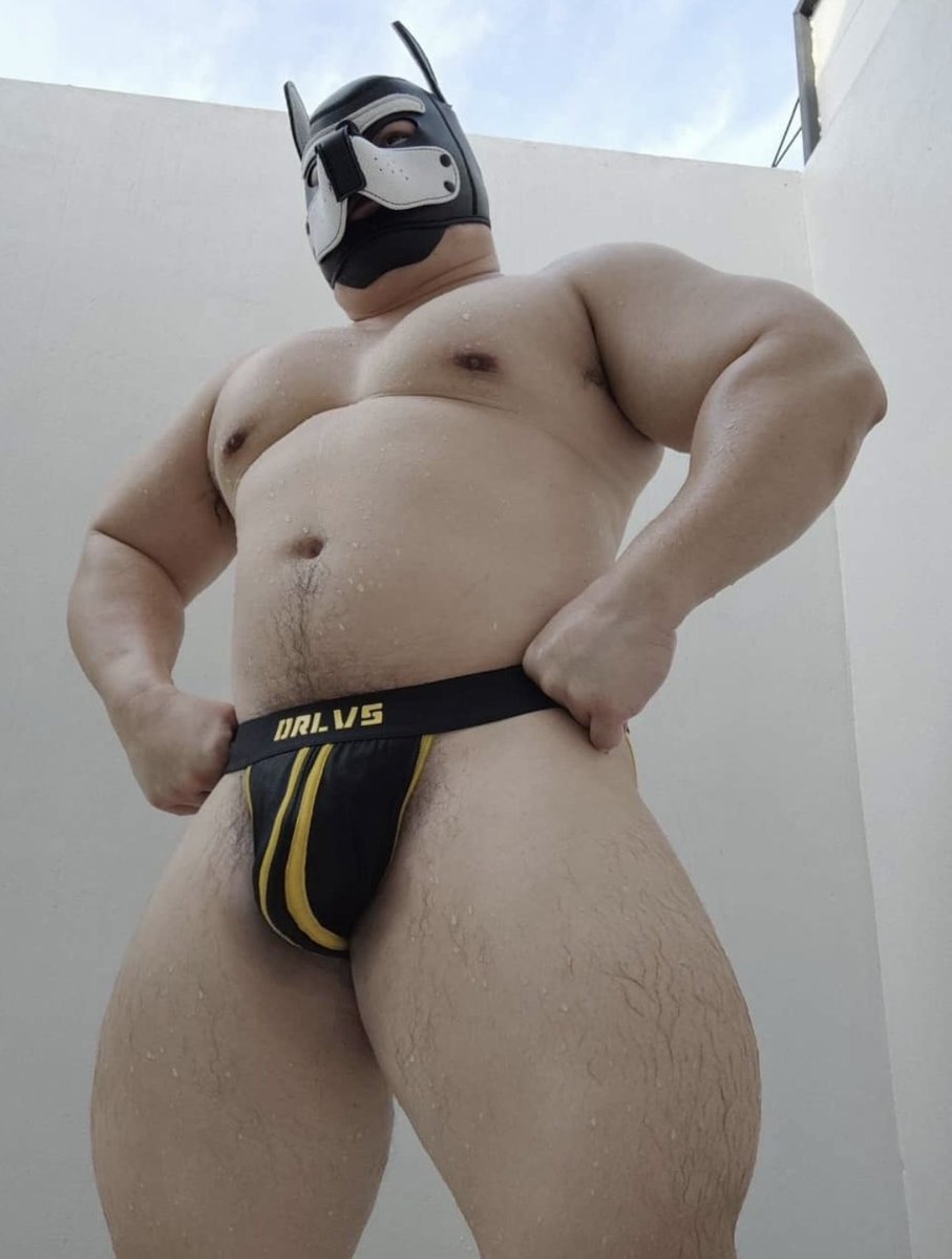 BULKYMAX tweet media