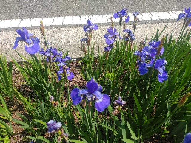 よこささくん🤑 tweet media