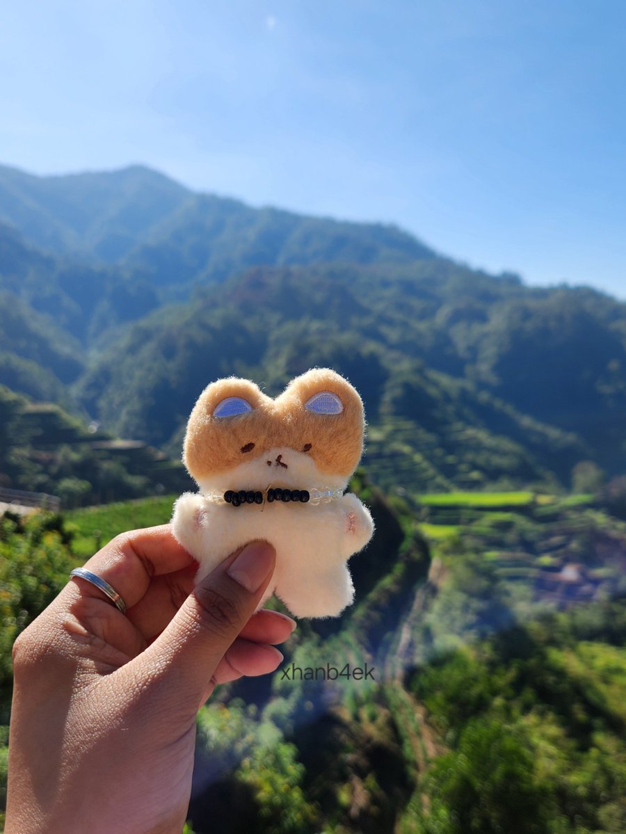xhanb4ek's tweet image. Kkuru and Teolaegi babies visited one of the 8th Wonder of the World, the stunning Banaue Rice Terraces!🌾

#KkuruTeoGoesToSagada #BAEKHYUN @B_hundred_Hyun