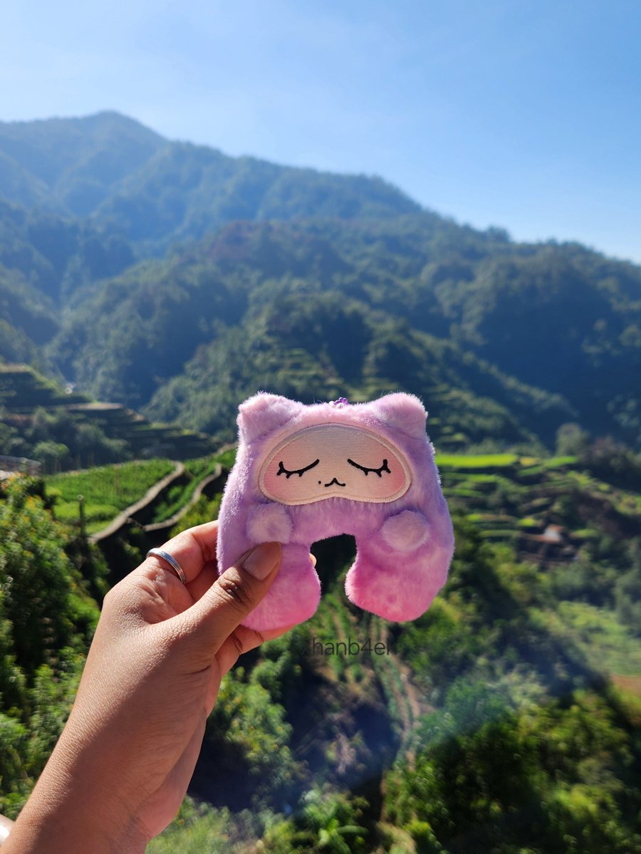 xhanb4ek's tweet image. Kkuru and Teolaegi babies visited one of the 8th Wonder of the World, the stunning Banaue Rice Terraces!🌾

#KkuruTeoGoesToSagada #BAEKHYUN @B_hundred_Hyun