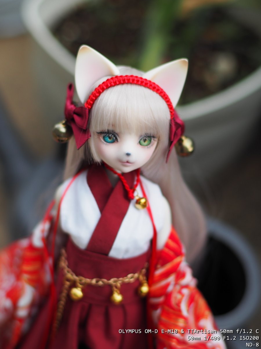 しょせっと🧦 tweet media