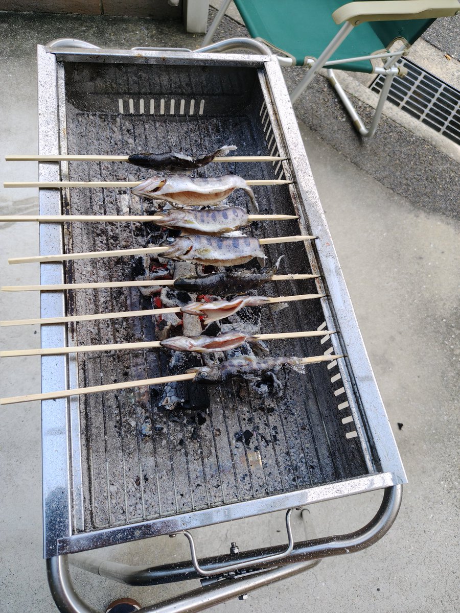 今日はお魚もありまぁす！