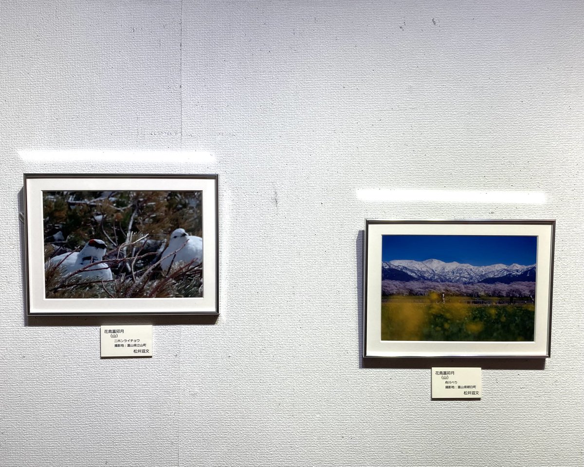 d.d.豆四郎@花鳥風月.ex展 tweet media