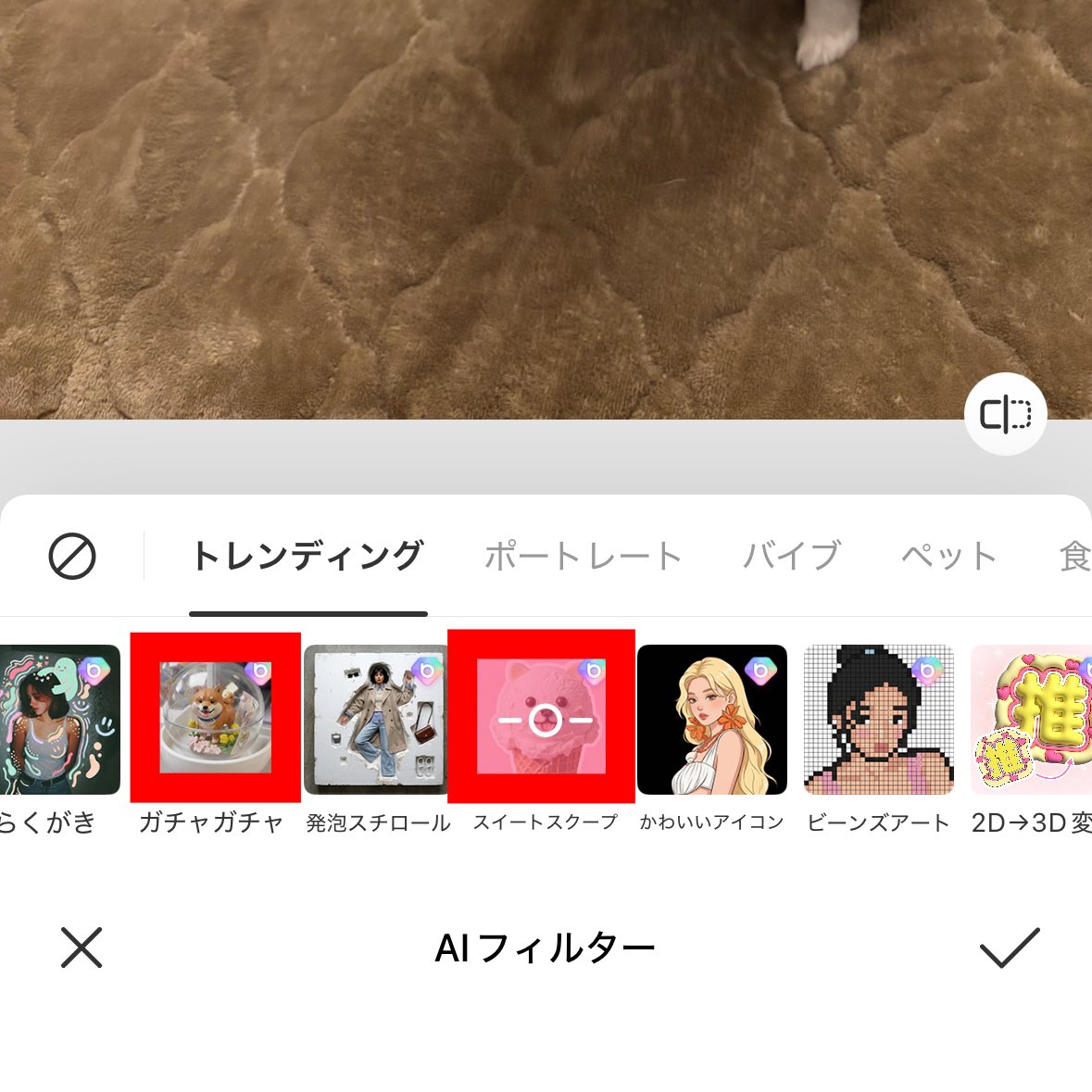 うめ(犬)親管理 tweet media