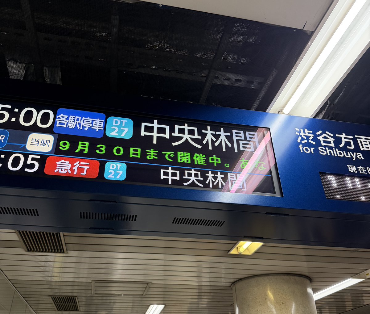 かうべる。 tweet media
