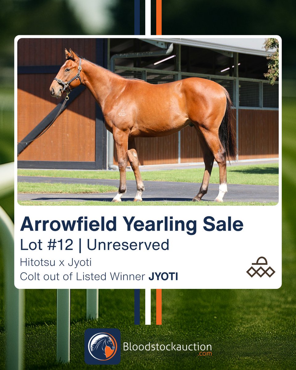 Bloodstockauction.com tweet media