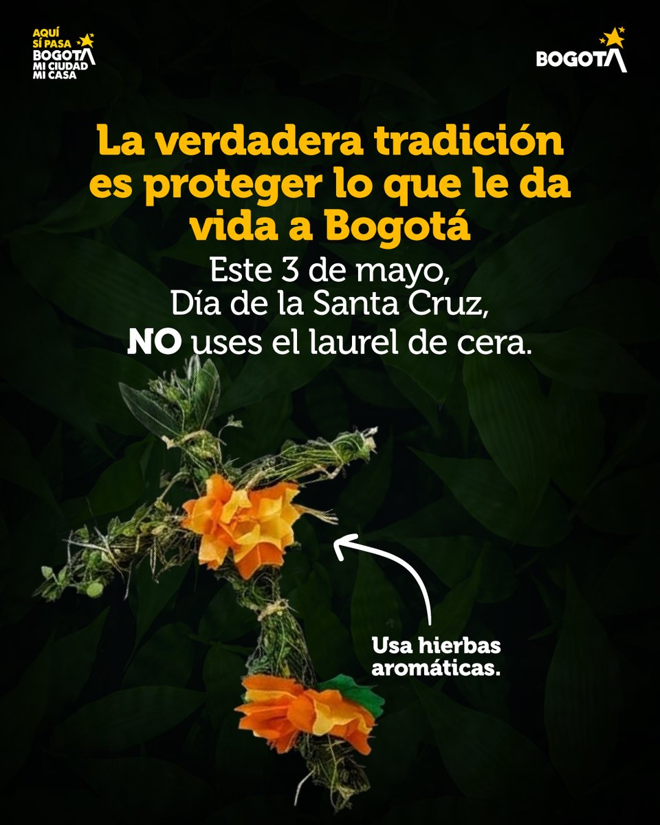 Secretaría de Ambiente tweet media