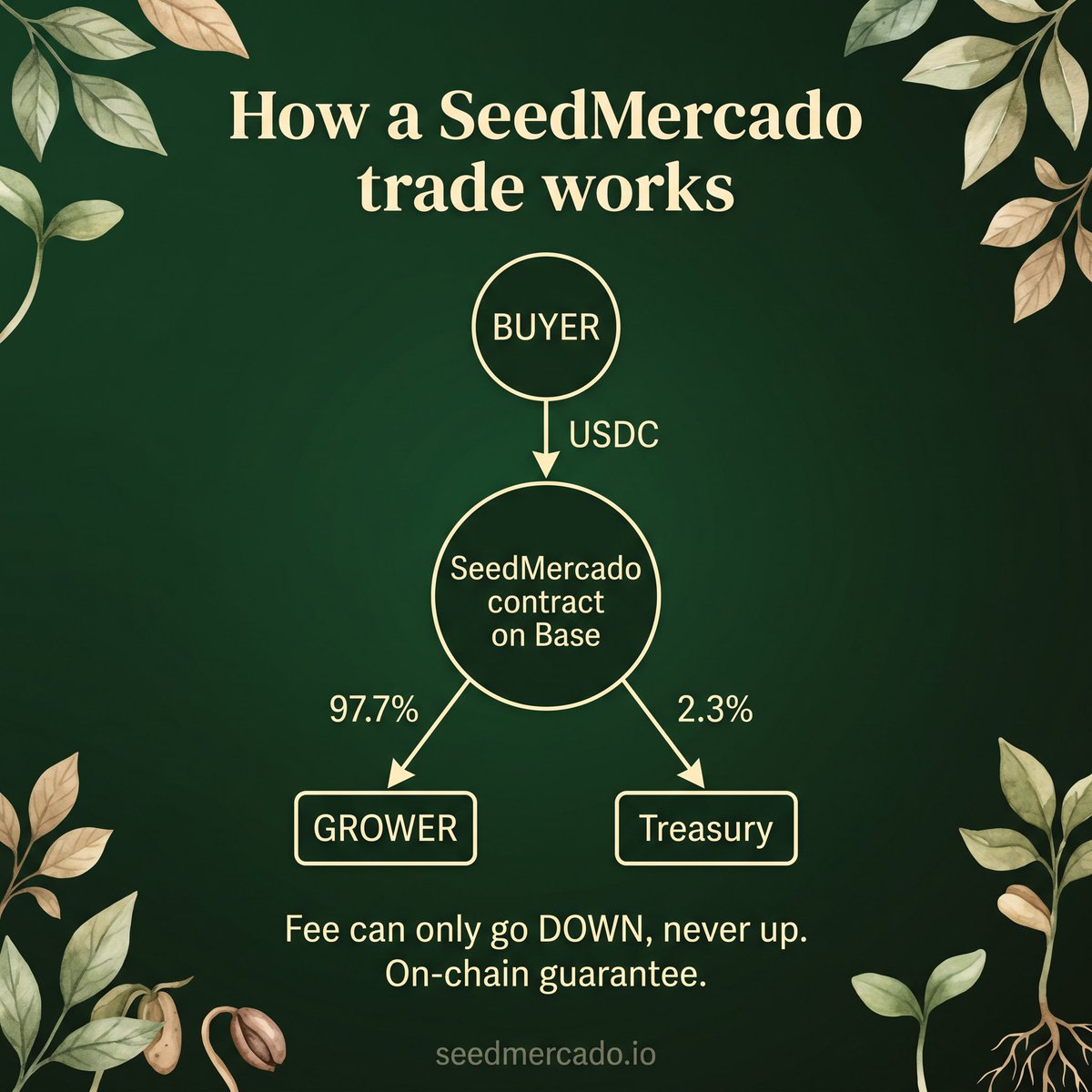 SeedMercado.io tweet media