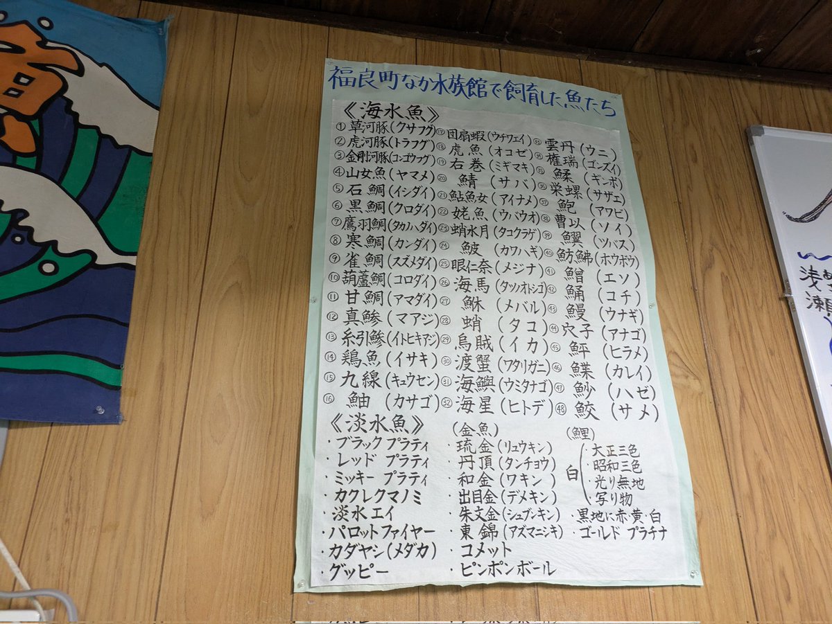 ハクタク tweet media