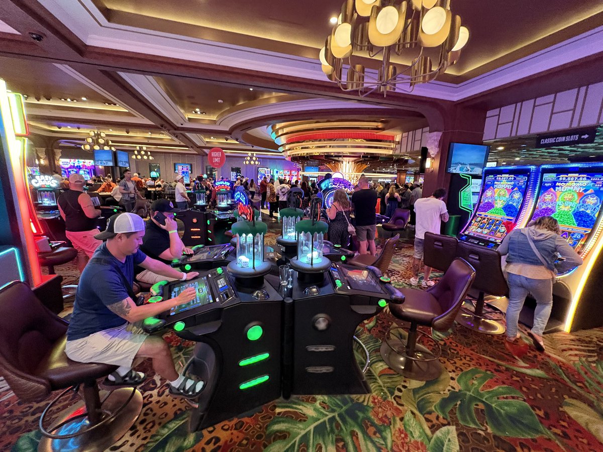 Vital Vegas tweet media