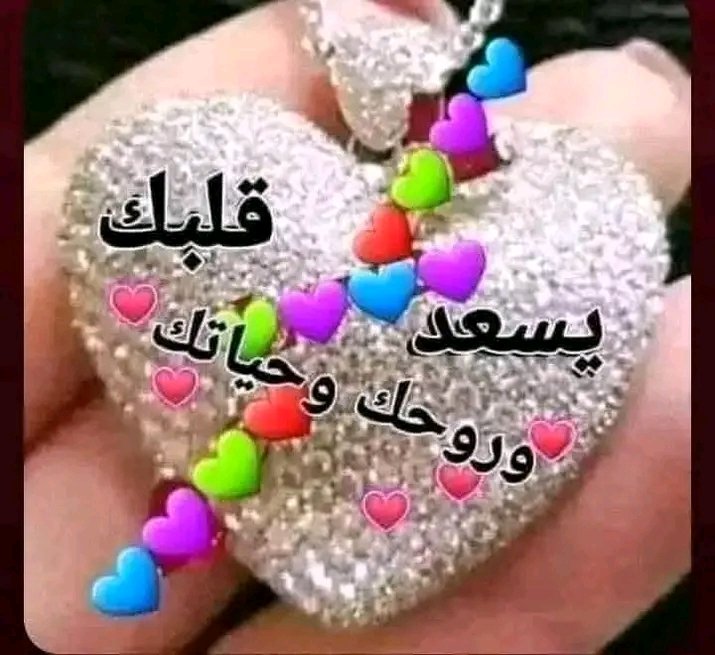 gamal moahmmad123 tweet media
