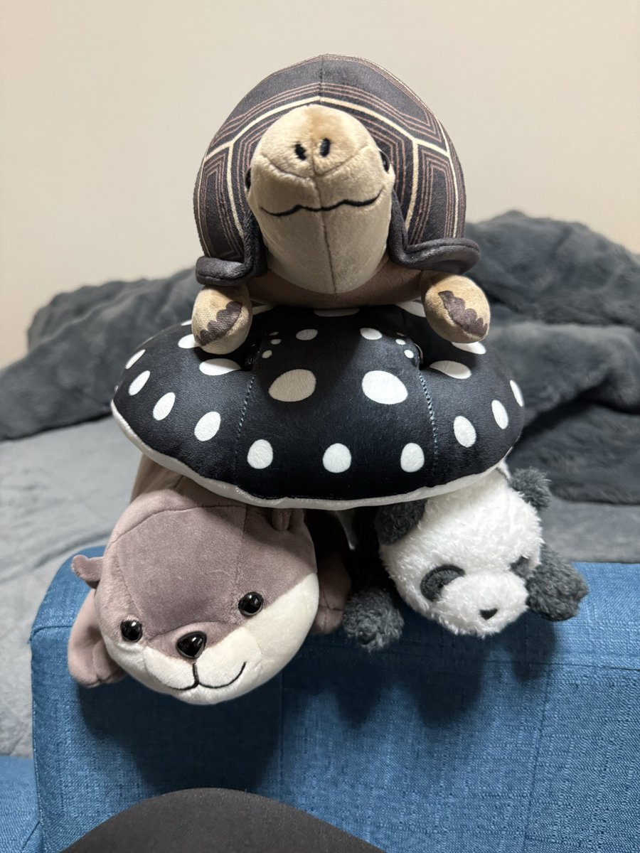 組み体操！