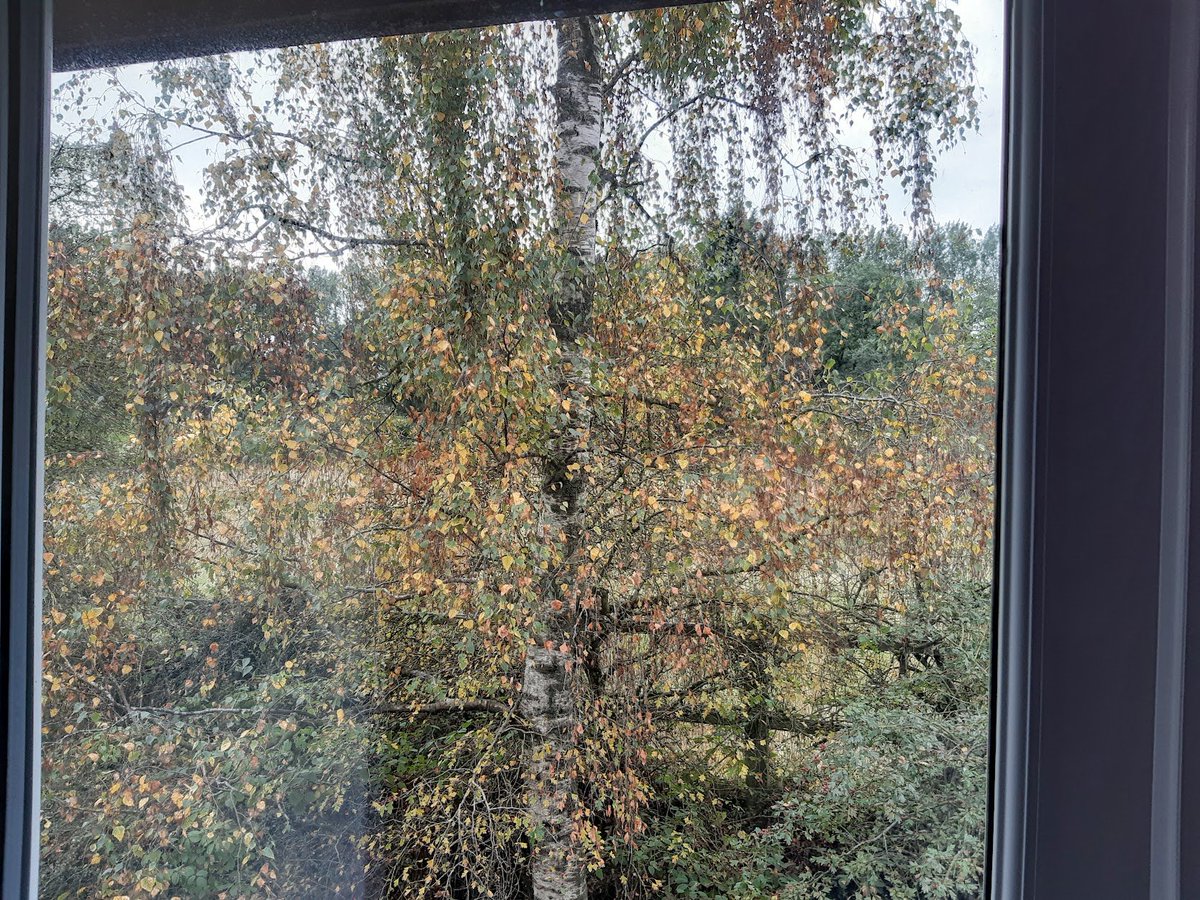 lingosia's tweet photo. Autumn #BehindGlass @pmj_photos #PMJWeeklyChallenge https://t.co/urGoY8qWGl