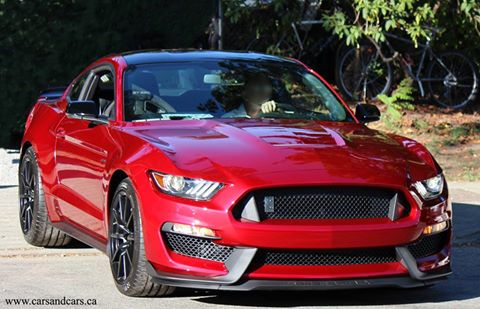 carsandcars_ca's tweet image. Ford Shelby

 #Ford #American 
 ford.carsblitz.com