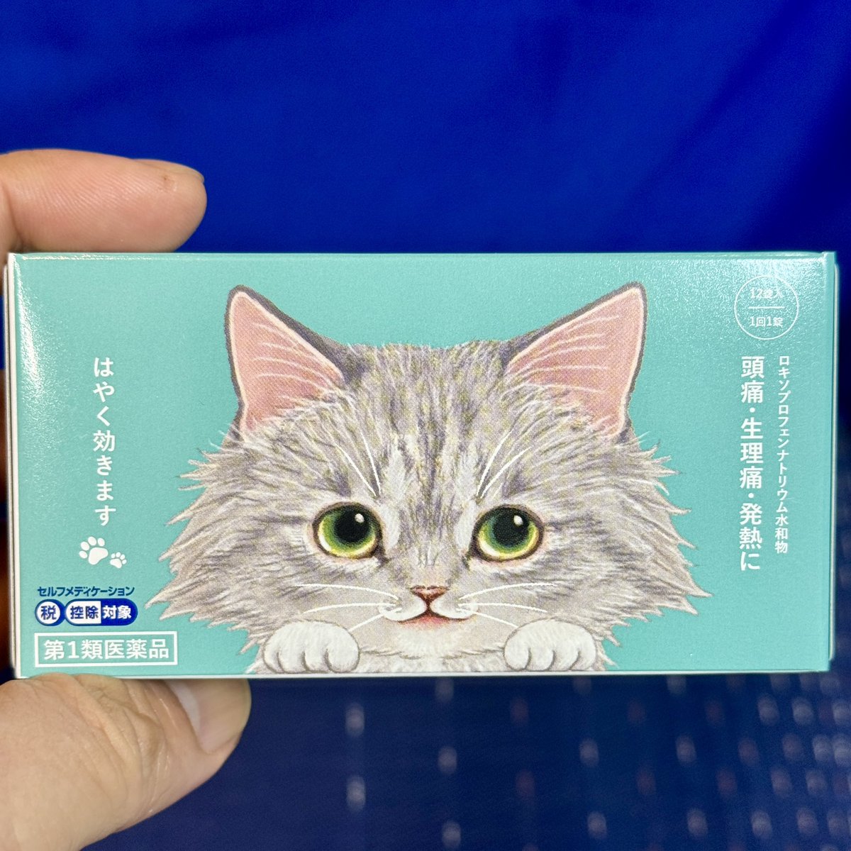 こばぴー tweet media
