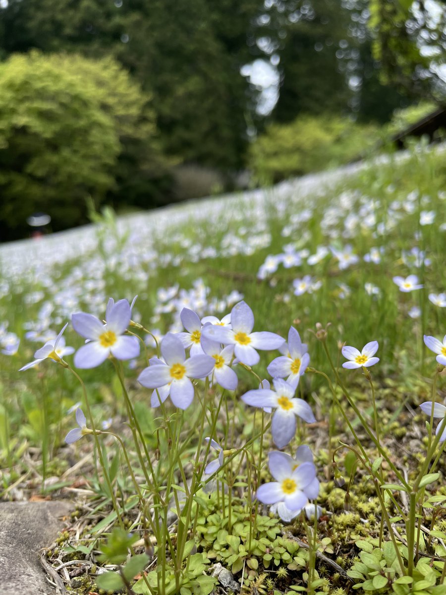 あべっち tweet media