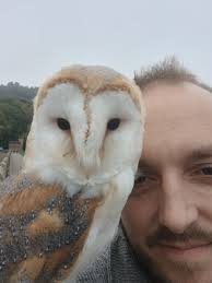 OWL tweet media