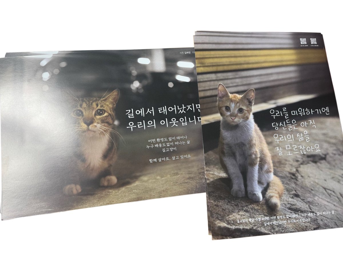 레서뿡 tweet media