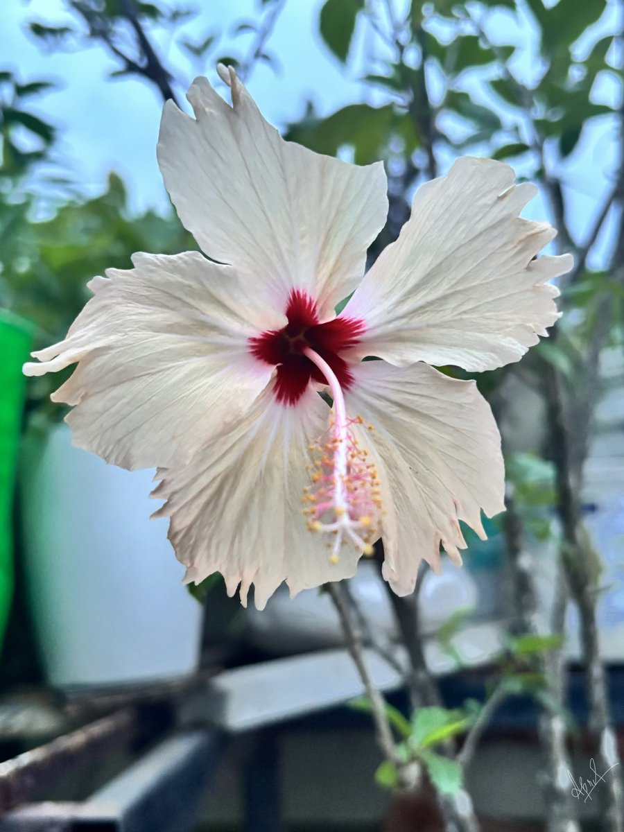 April 💞🦋 tweet media