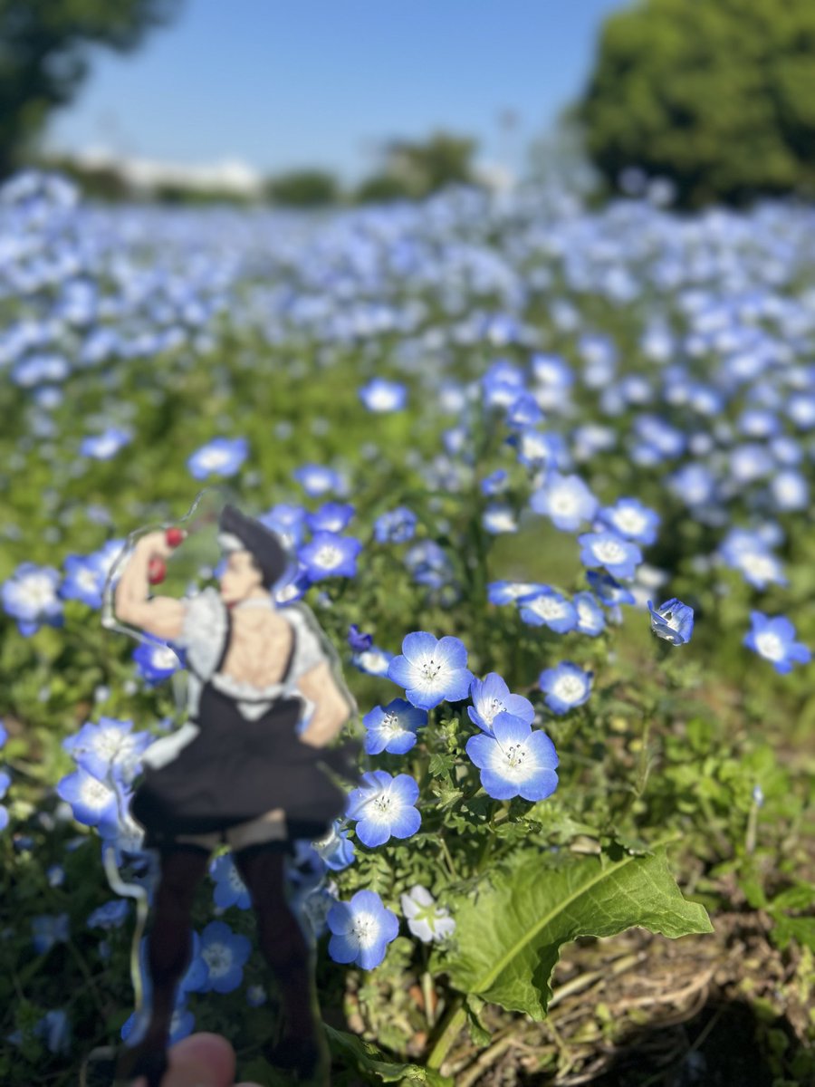 来栖ｱﾂﾑとｸﾚﾝ tweet media