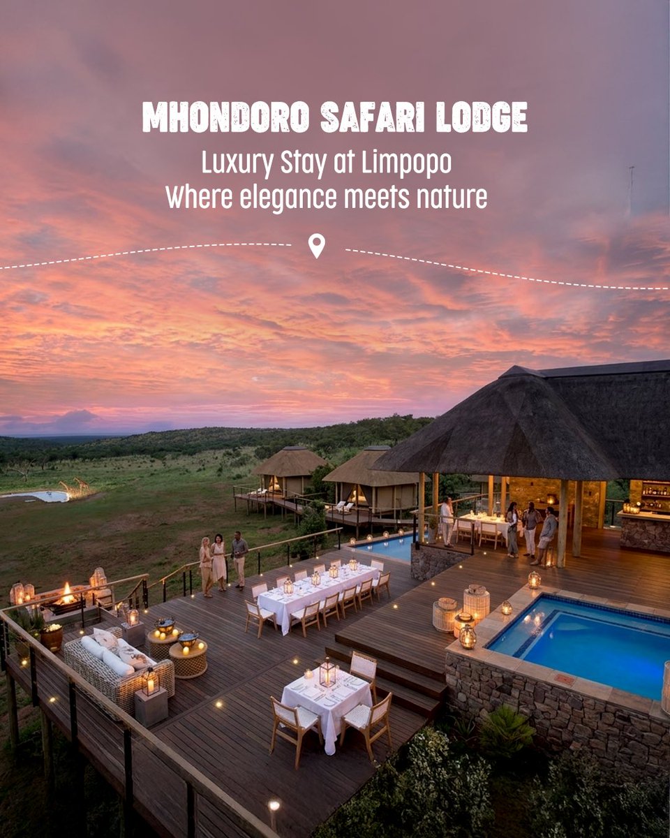 South African Tourism tweet media