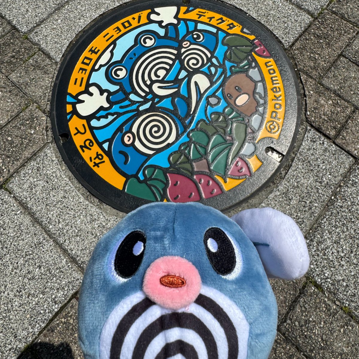 四国行きまくってる！
高知と香川のポケふたえぐすぎてコンプ出来ず！また行くぞぉ🔥
