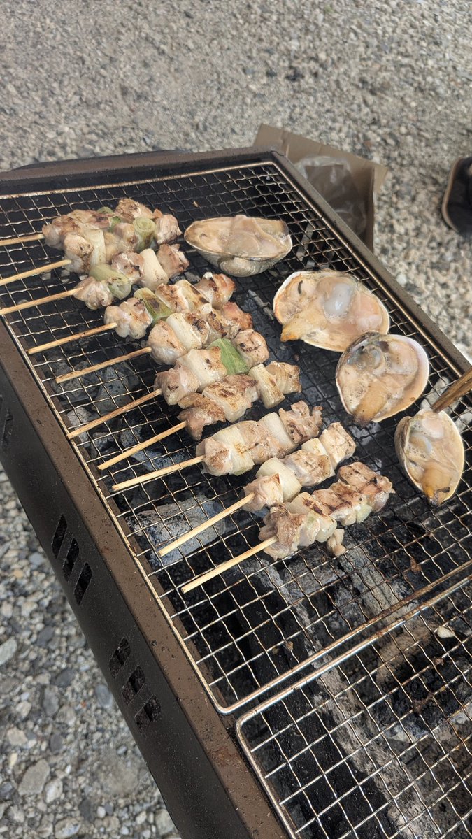 イリス_Iris tweet media