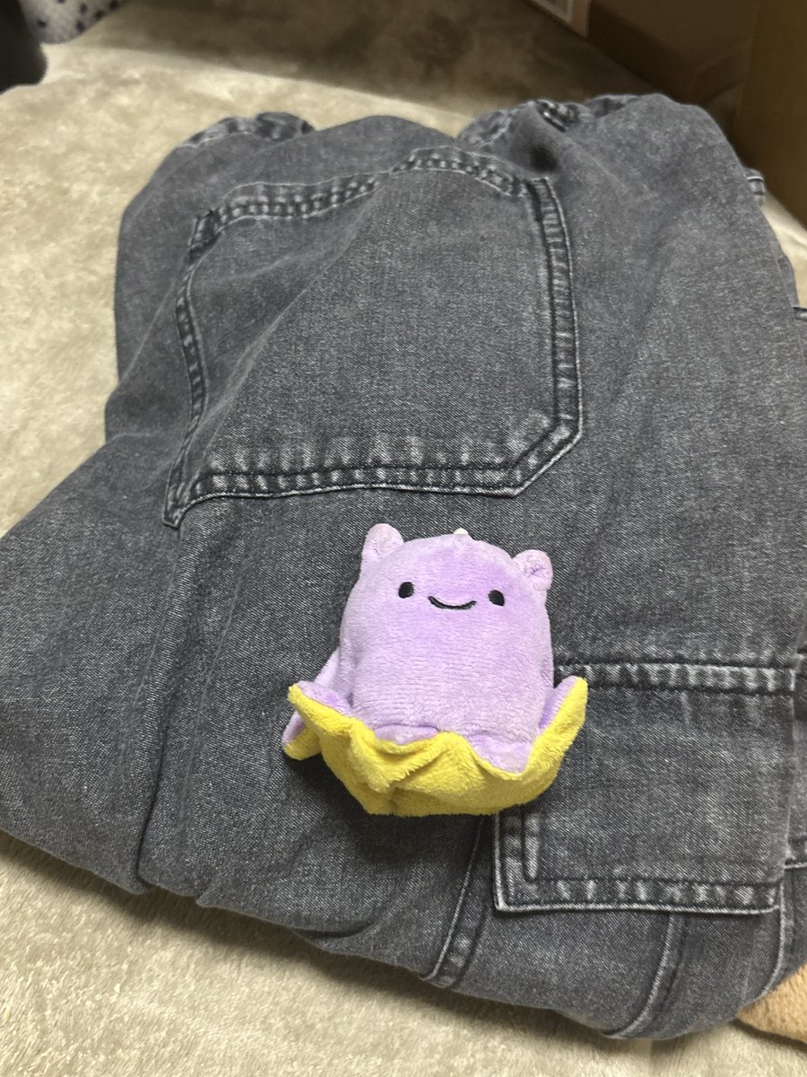グレイヴンズ・めんだこふぉとらぼ tweet media