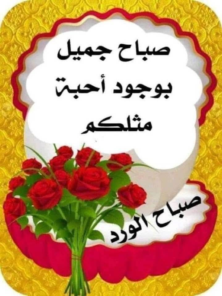 محمد عثمان البريجي tweet media
