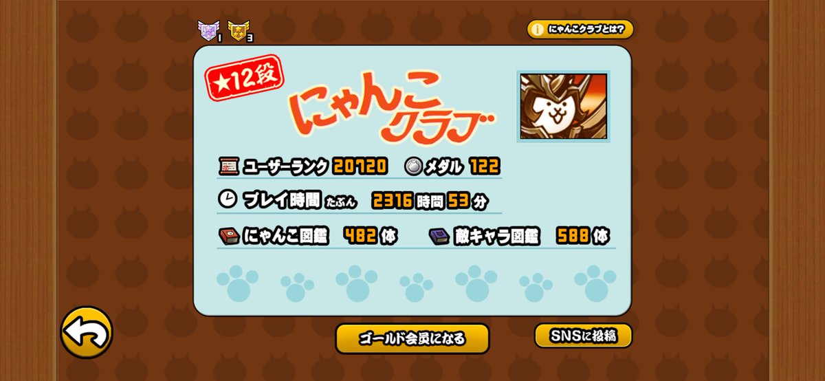 りゅうねこ tweet media