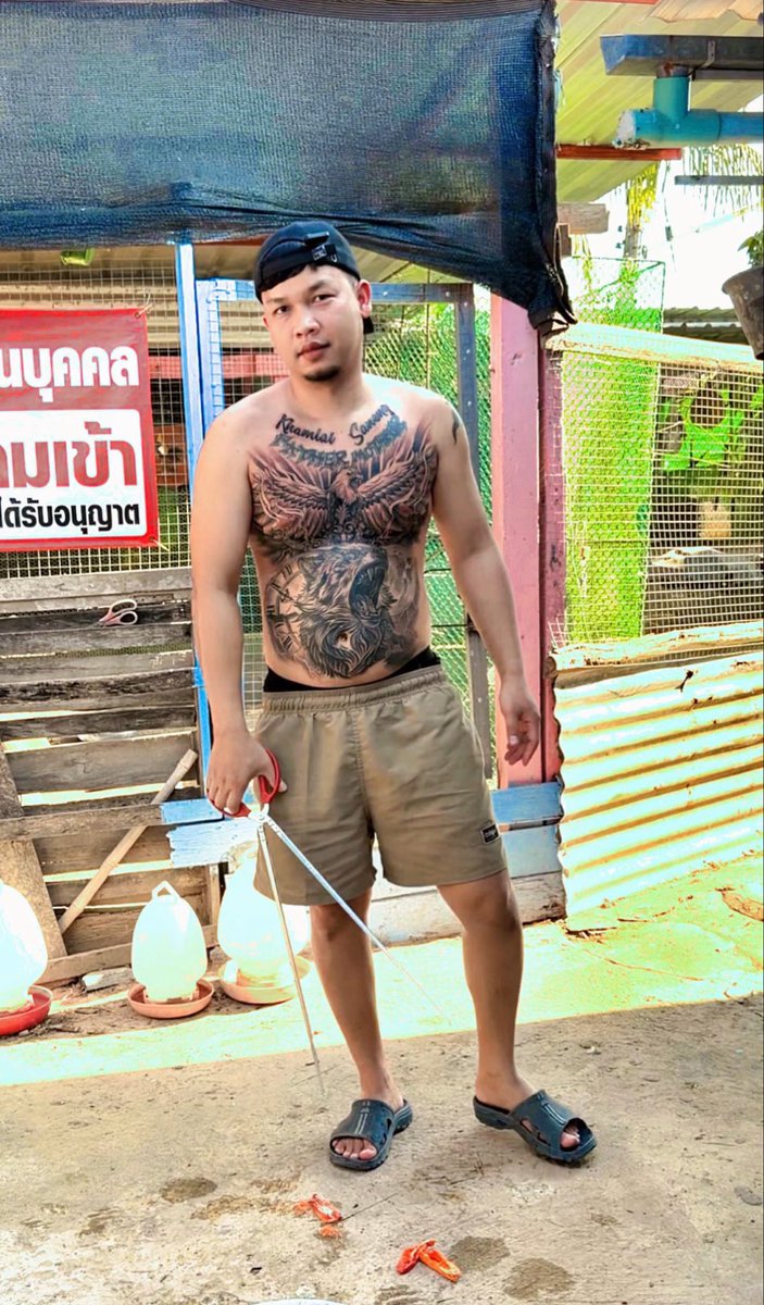 จูงหมาฝ่าไฟเเดง tweet media