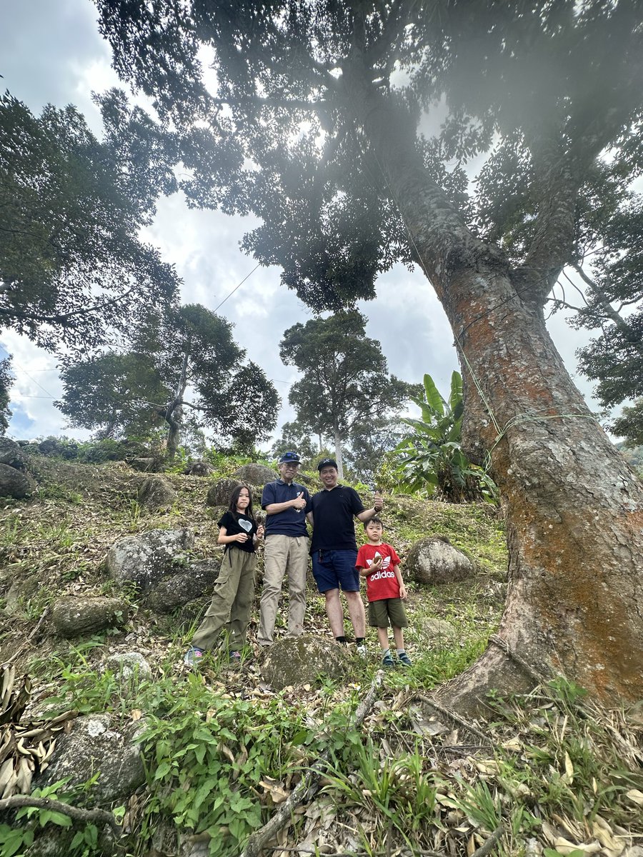 Shaun_523's tweet photo. Sunday well spent with the family 🌿❤️

A refreshing escape up the durian orchard hills — fresh air, green views, and plenty of laughs along the way 🚙💨

Nothing brings everyone together like sharing Penang mountain durian 🏔️🥭 — rich, creamy, and full of happiness in every bite https://t.co/a5j4FJErj1