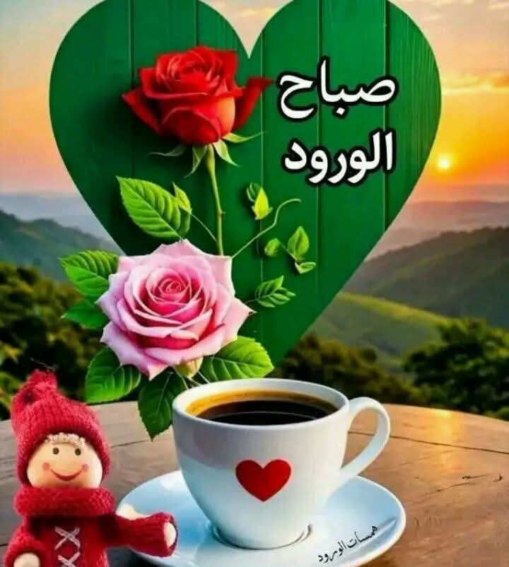 محمد عثمان البريجي tweet media