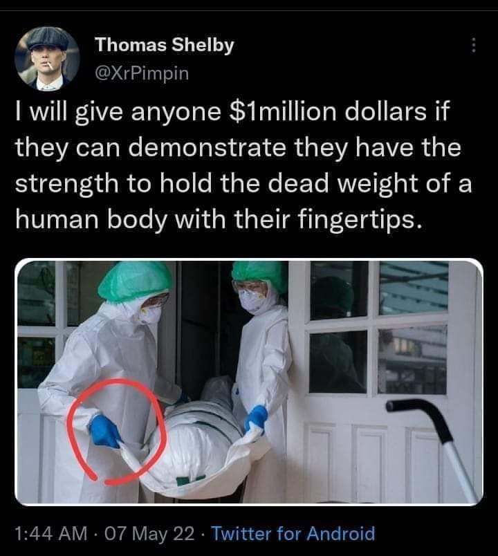 rabbitholebot tweet media