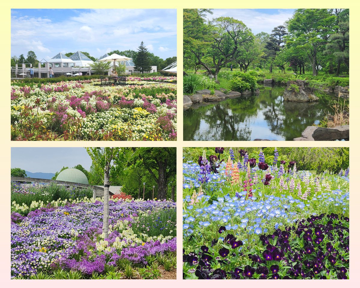 onewindensemble's tweet photo. 本日はONEのメンバー12名の小編成隊で
ぐんまフラワーパークプラスさんの花畑音楽ライブに出演してきました🌷🌷🌷
演奏後は春のお花が満開のパークを満喫してきました💐
#ぐんまフラワーパークプラス https://t.co/MffHZVuX3G