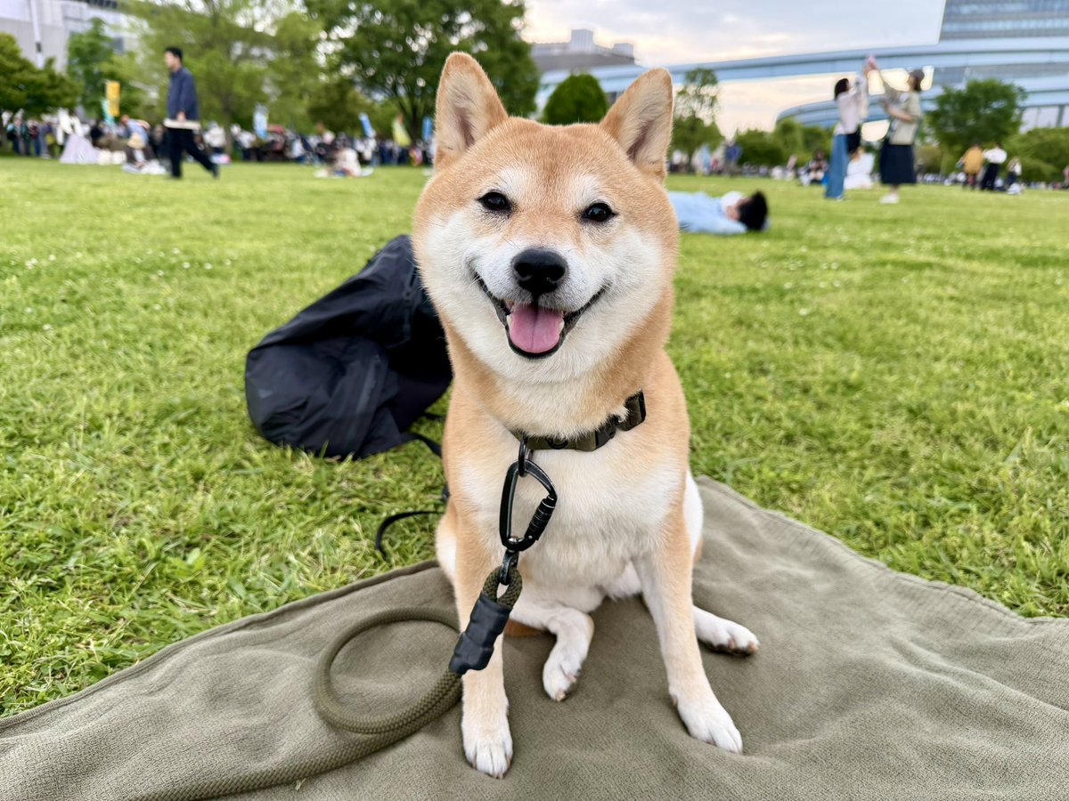 大津あやか tweet media