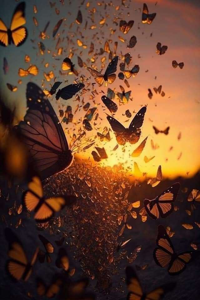 #صباح_الأشياء_المُشرقة
الصباح ليس مجرّد بداية، بل برهان بسيط
 أن الحياة تمضي، وأن الضوء، مهما تأخر، يعرف طريقه..
#بس_حبيت_اقول
يقول ضيف فهد : متى تكون متأكّدًا من أنّك اتخذت القرار الصحيح؟ عندما لا تحتاج إلى تبريره..