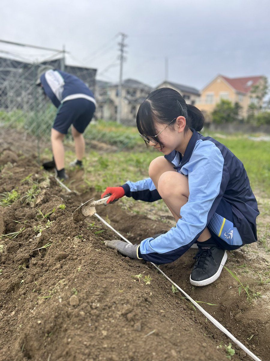 暮らしで、整える🍀ととちゃん tweet media