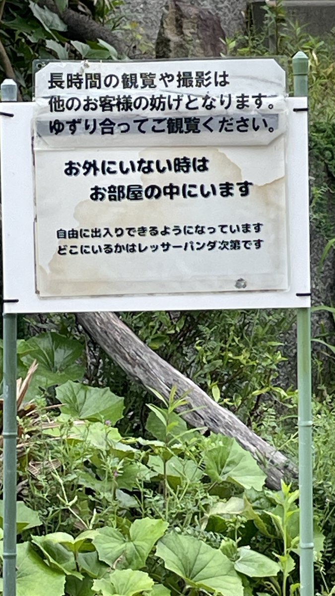 くま tweet media