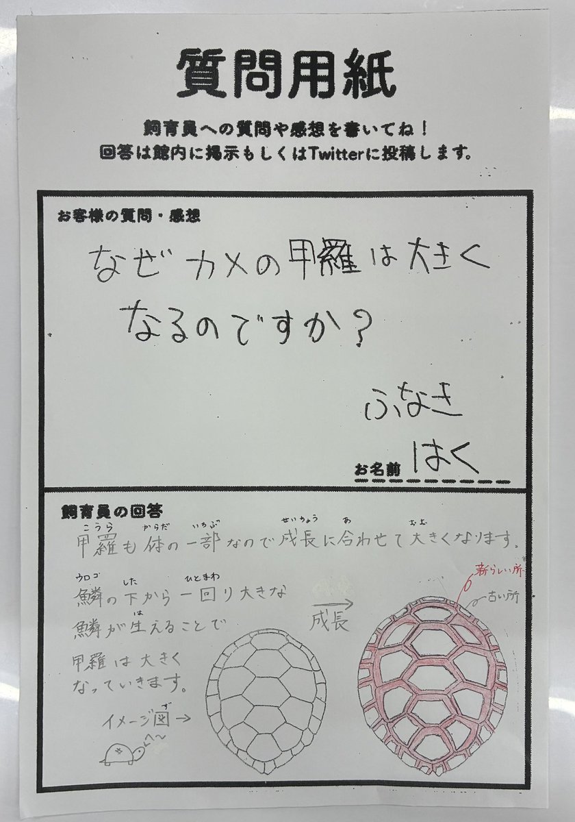 道の駅ウミガメ公園【公式】 tweet media