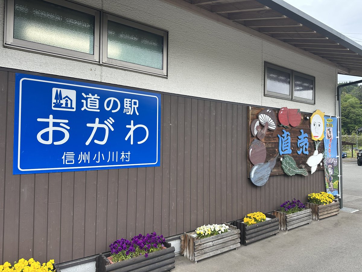 Lt.Shinza tweet media